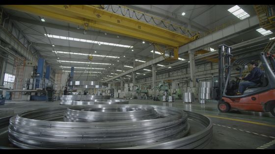 Large Size Bearing/Turntable Bearing/Internal Gear Slewing Ring Bearing/Yrt Bearing/Cross Roller Bearin